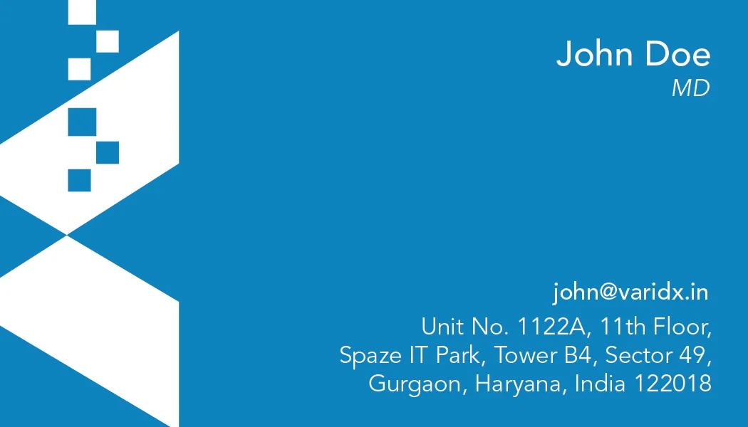 Varidx Business Card — back variant