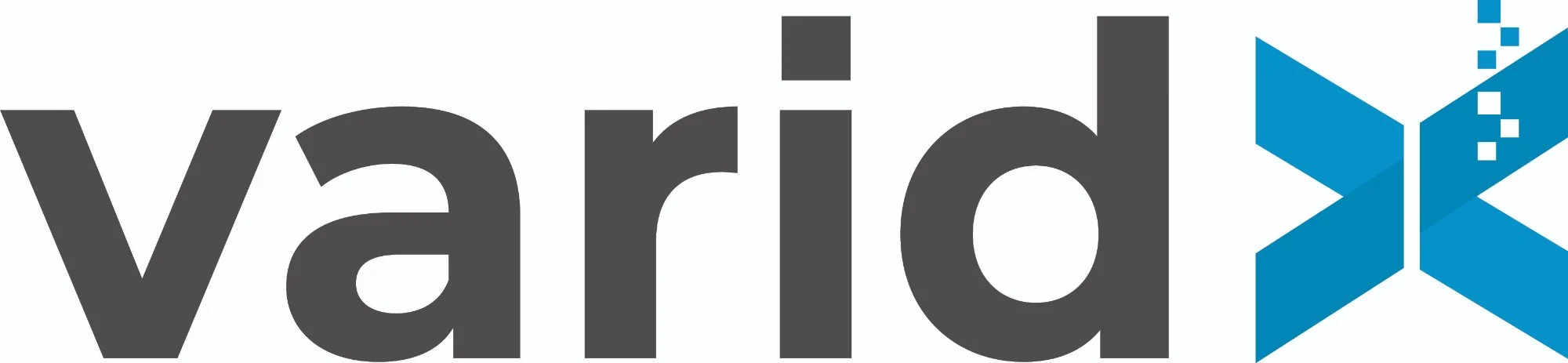 Varidx Logo — full wordmark on white
